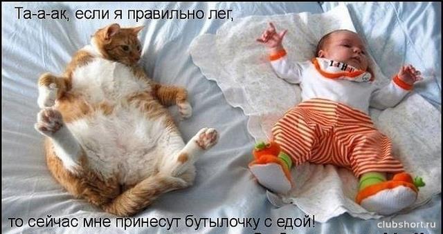 4980_kids_in_shorts_ru_381.jpg